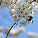 Image for article titled Shooting Challenge: Spring